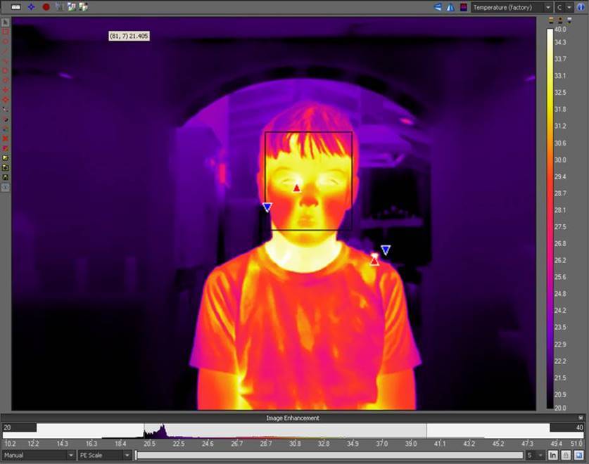 Thermal security cameras for public health regulations